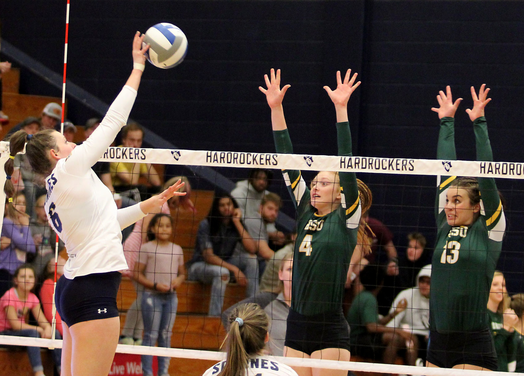 Volleyball 2.jpg